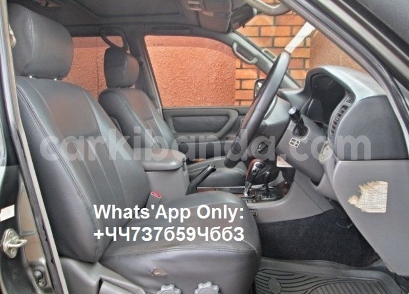 Big with watermark av2