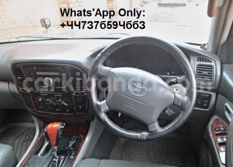 Big with watermark av3