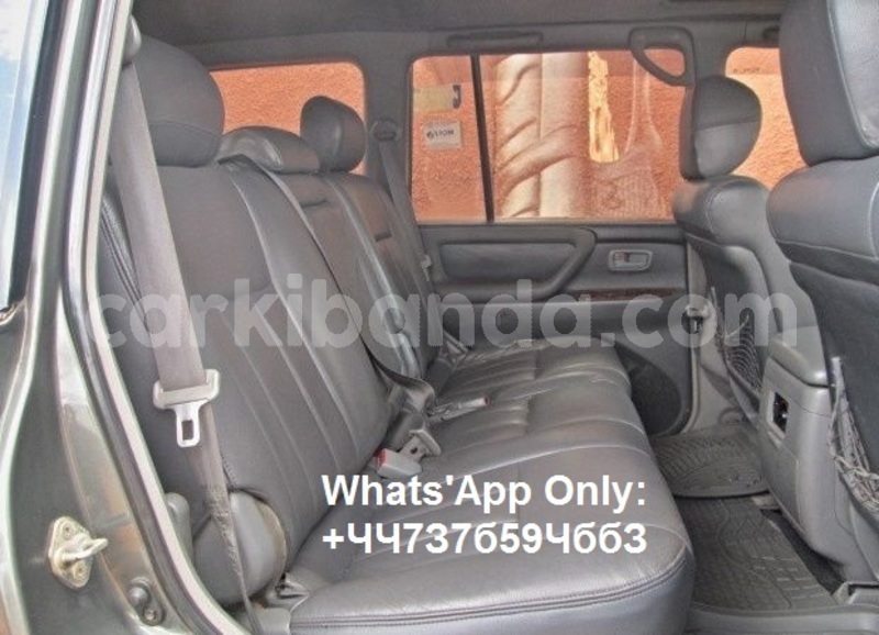 Big with watermark av5