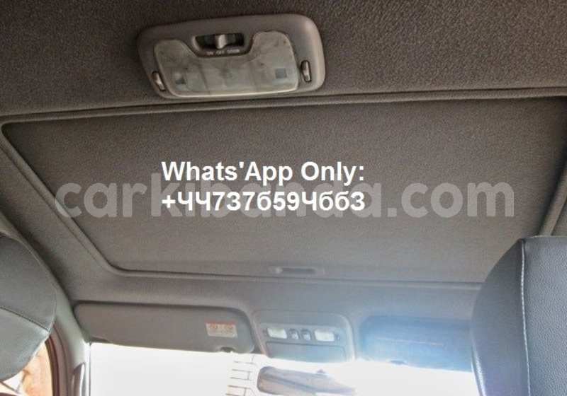 Big with watermark dfa4