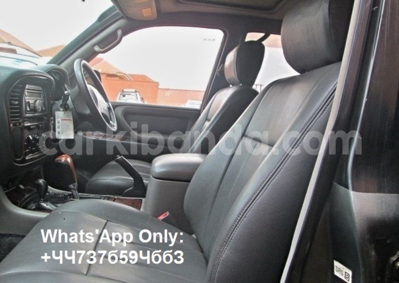 Big with watermark dfa6