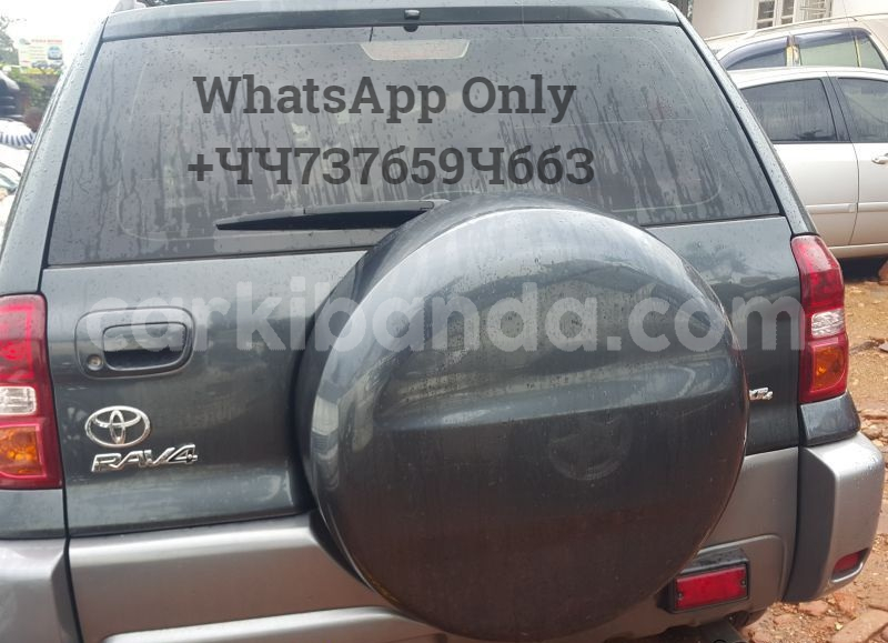 Big with watermark 2