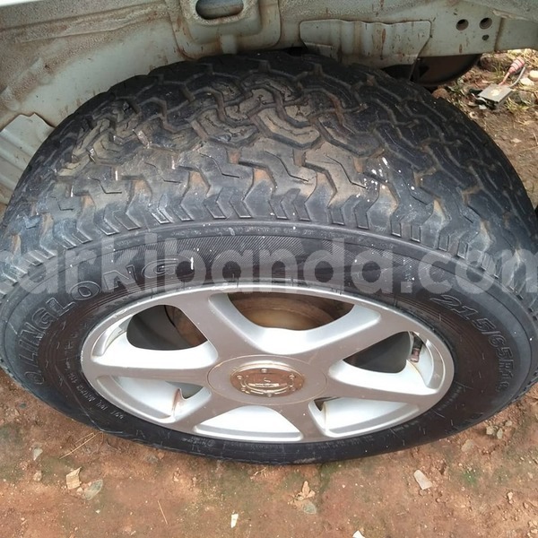 Big with watermark 67903338 1387816361366432 7750881154126839808 n