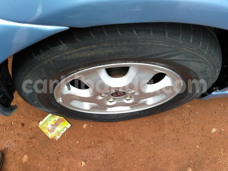 Big with watermark 67816787 1387815404699861 1317705836247646208 n