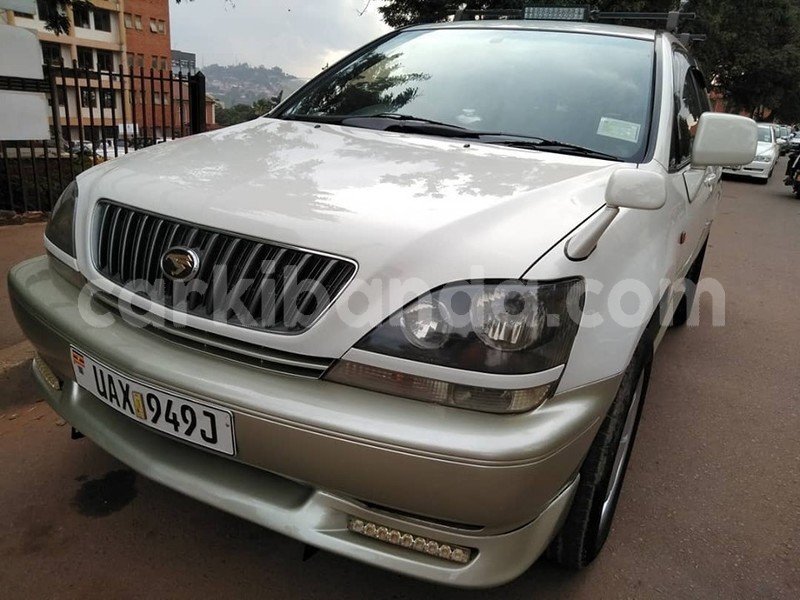 Big with watermark 67590752 1386509801497088 7000469287123025920 n