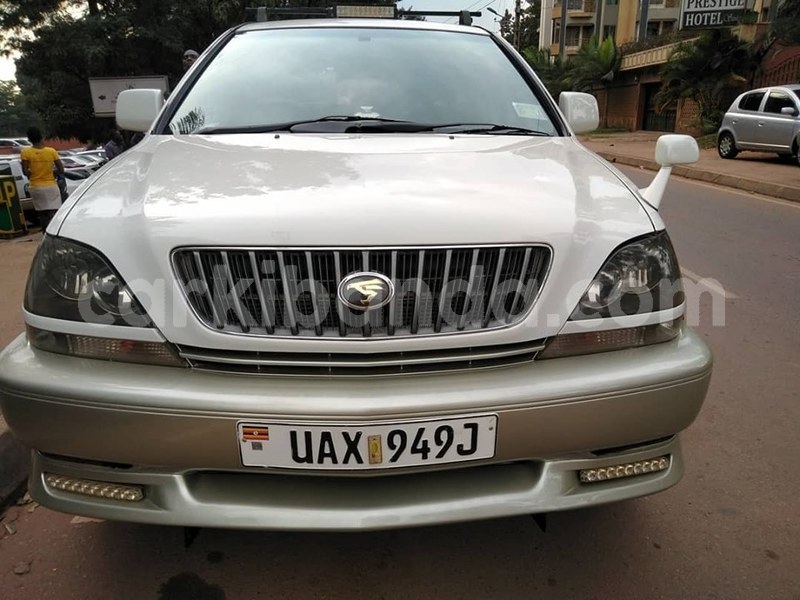 Big with watermark 68894940 1386509754830426 586760436066549760 n