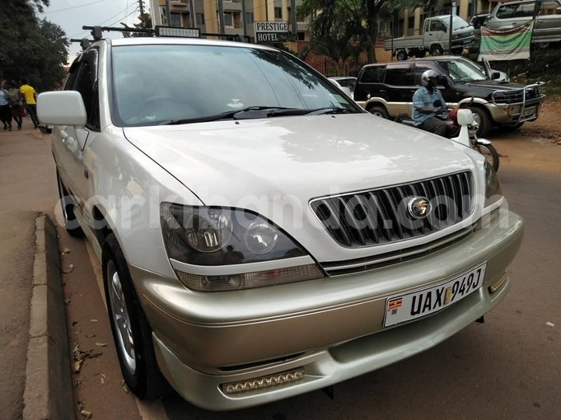 Big with watermark 68250235 1386509701497098 5153722646508077056 n