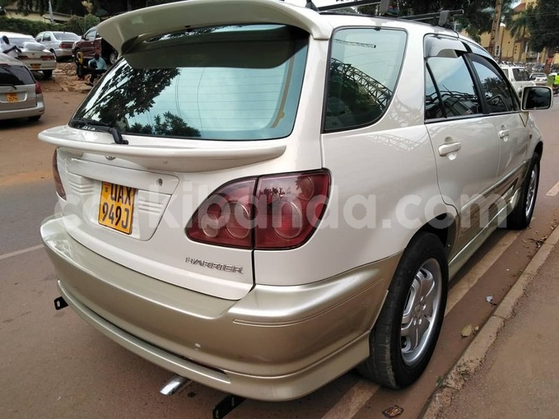 Big with watermark 67964186 1386509384830463 212637431323688960 n