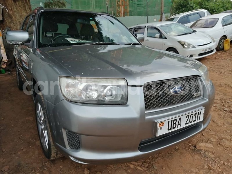 Big with watermark 68278724 1386508841497184 4082063314710953984 n