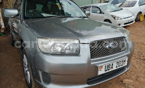 Buy Used Subaru Forester Other Car in Kampala in Uganda Buy Used Subaru Forester Other Car in Kampala in Uganda