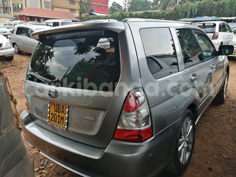 Big with watermark 67731755 1386508754830526 1015532888151556096 n