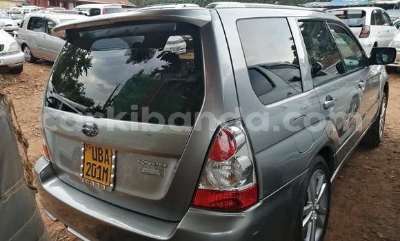 Buy Used Subaru Forester Other Car in Kampala in Uganda Buy Used Subaru Forester Other Car in Kampala in Uganda
