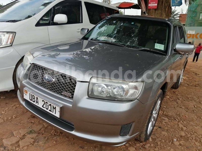 Big with watermark 67625998 1386508674830534 3304801373756850176 n