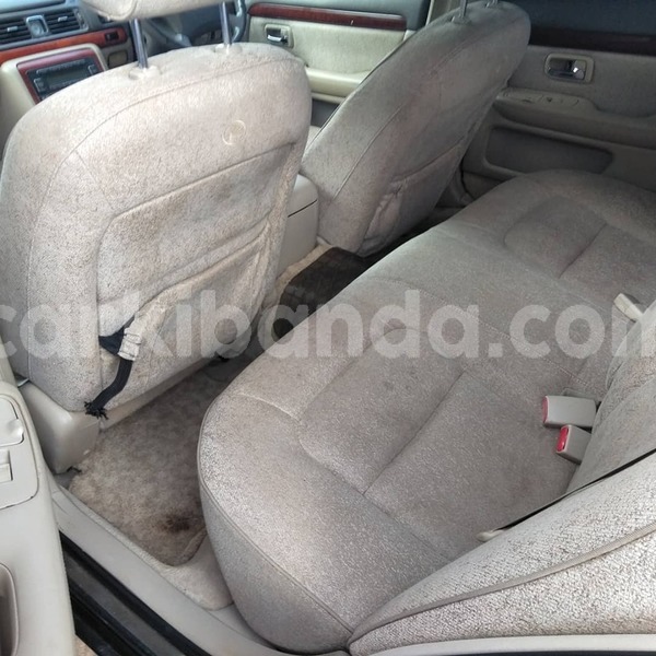 Big with watermark 67541983 1385757274905674 4149765296514662400 n