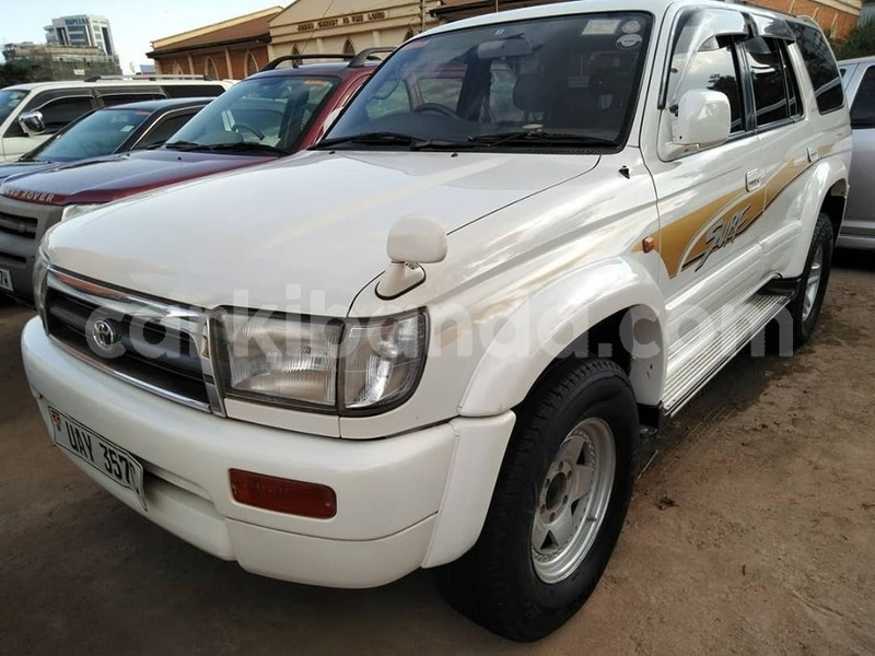 Big with watermark 67392354 1385756144905787 7455620595116408832 n