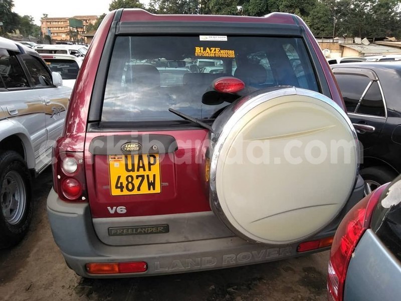 Big with watermark 67671816 1385755088239226 2915730542794113024 n