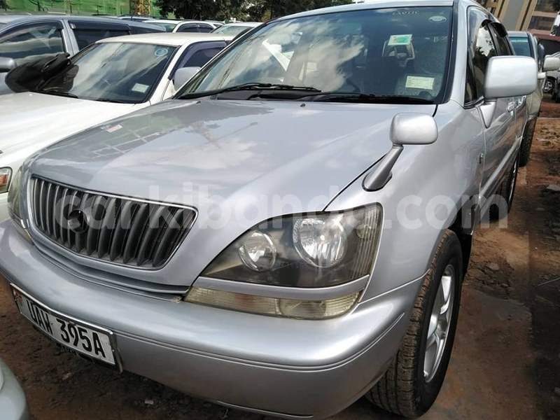 Big with watermark 67621792 1385622384919163 6744379298003550208 n