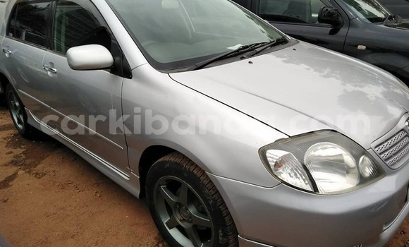 Buy Used Toyota Allex Silver Car in Kampala in Uganda Buy Used Toyota Allex Silver Car in Kampala in Uganda