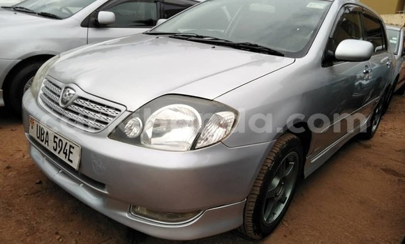 Buy Used Toyota Allex Silver Car in Kampala in Uganda Buy Used Toyota Allex Silver Car in Kampala in Uganda