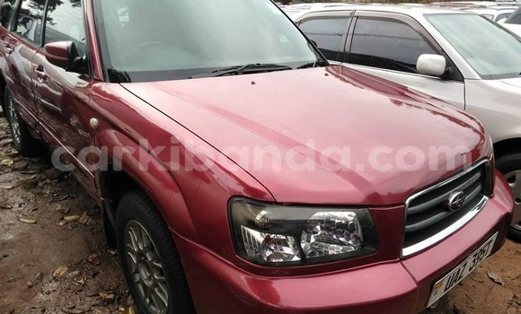Buy Used Subaru Forester Red Car in Kampala in Uganda Buy Used Subaru Forester Red Car in Kampala in Uganda