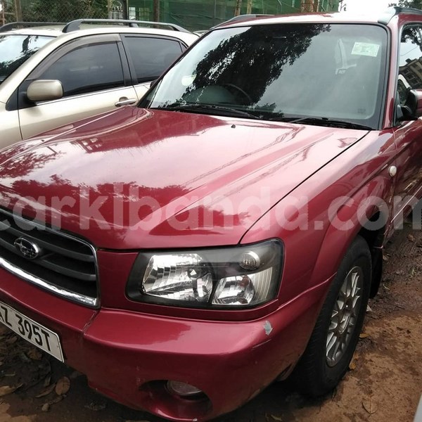 Big with watermark 67573305 1384091798405555 5608153774385266688 n