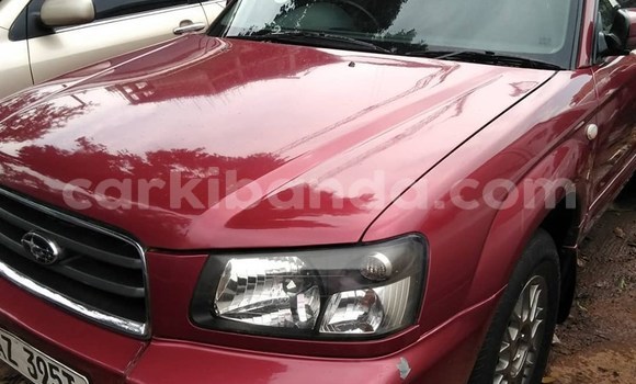 Buy Used Subaru Forester Red Car in Kampala in Uganda Buy Used Subaru Forester Red Car in Kampala in Uganda