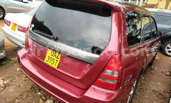 Buy Used Subaru Forester Red Car in Kampala in Uganda Buy Used Subaru Forester Red Car in Kampala in Uganda