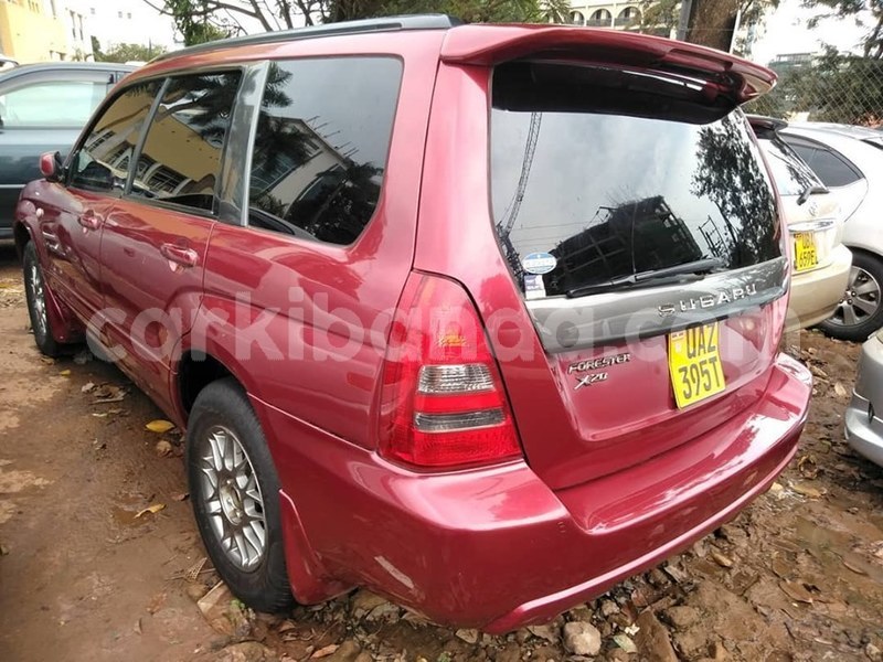 Big with watermark 67787560 1384091638405571 4108887004677144576 n