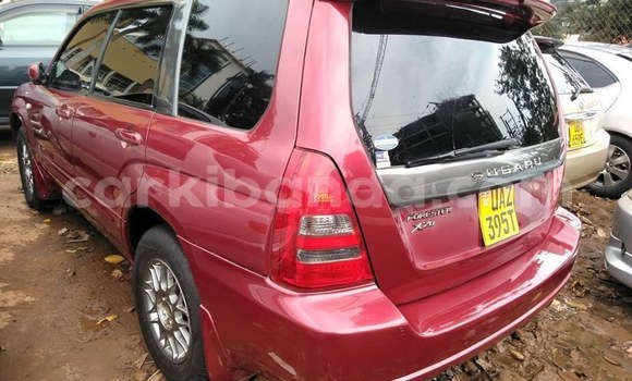 Buy Used Subaru Forester Red Car in Kampala in Uganda Buy Used Subaru Forester Red Car in Kampala in Uganda