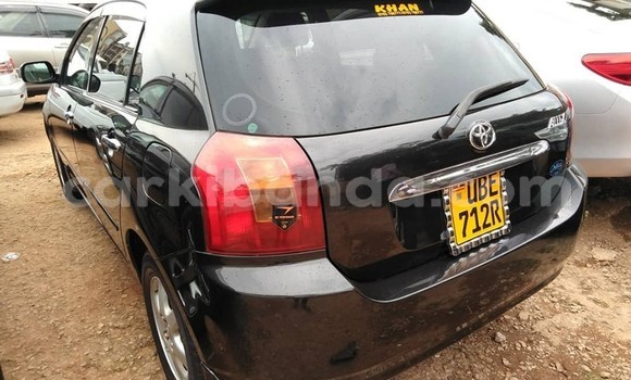 Buy Used Toyota Allex Black Car in Kampala in Uganda Buy Used Toyota Allex Black Car in Kampala in Uganda