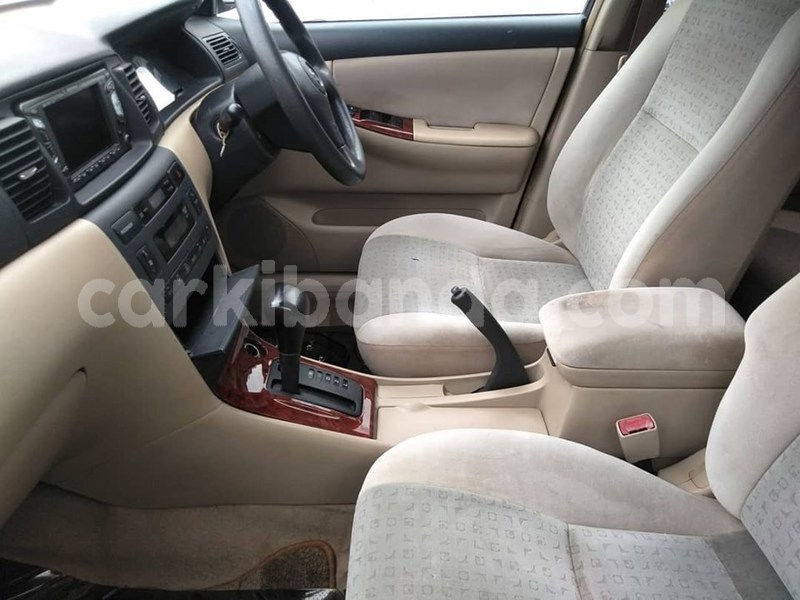 Big with watermark 67695873 1384091231738945 2269165491744407552 n