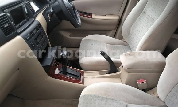 Buy Used Toyota Allex Black Car in Kampala in Uganda Buy Used Toyota Allex Black Car in Kampala in Uganda