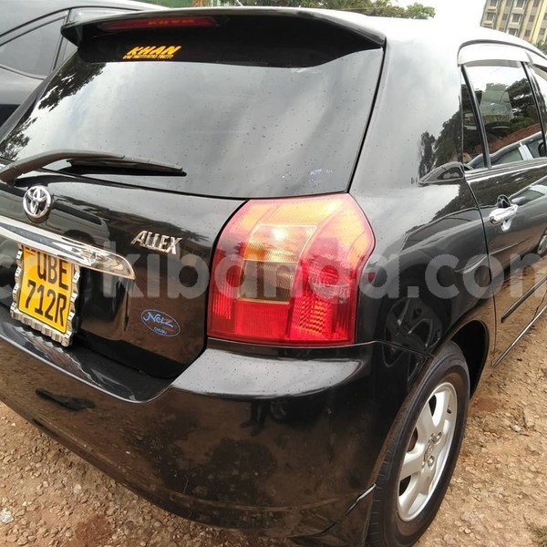 Big with watermark 67459900 1384091151738953 876894827055153152 n