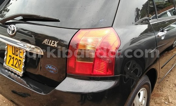 Buy Used Toyota Allex Black Car in Kampala in Uganda Buy Used Toyota Allex Black Car in Kampala in Uganda