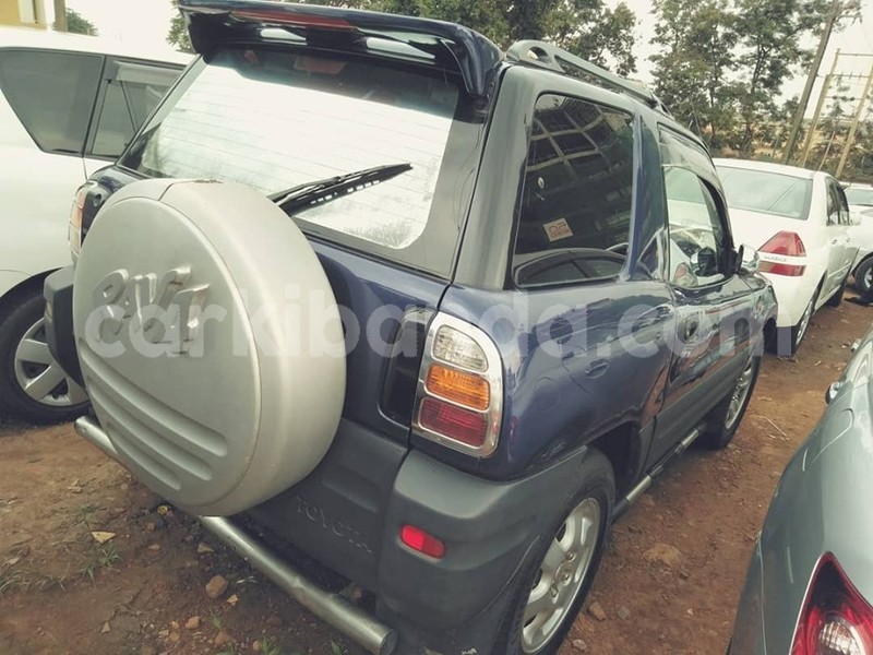 Big with watermark 67794870 1382500831897985 775609430812131328 n