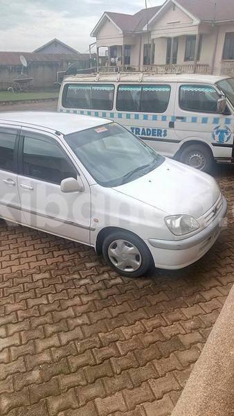 Big with watermark 14572839 1276538899057194 7605807282165903254 n