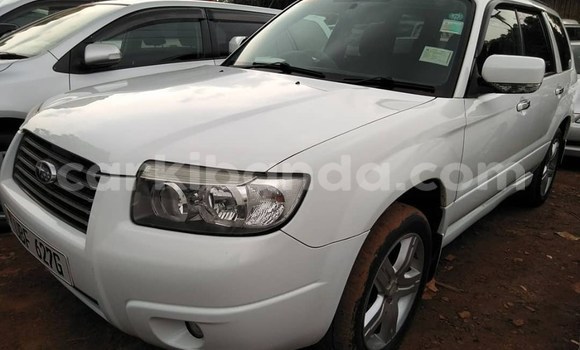 Buy Used Subaru Forester White Car in Kampala in Uganda Buy Used Subaru Forester White Car in Kampala in Uganda