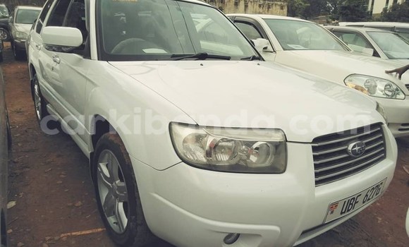 Buy Used Subaru Forester White Car in Kampala in Uganda Buy Used Subaru Forester White Car in Kampala in Uganda