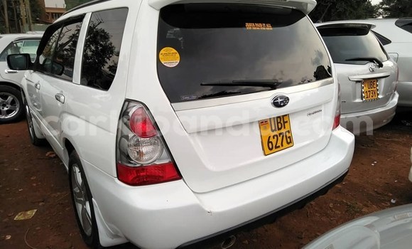 Buy Used Subaru Forester White Car in Kampala in Uganda Buy Used Subaru Forester White Car in Kampala in Uganda