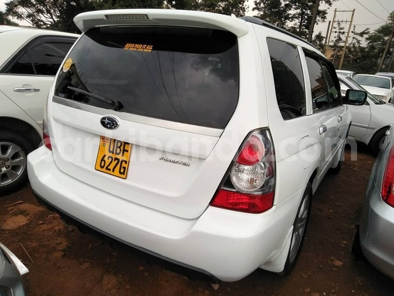 Big with watermark 67514674 1382500158564719 1735314916711071744 n