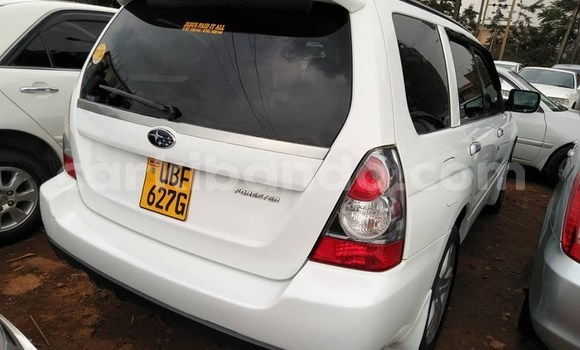 Buy Used Subaru Forester White Car in Kampala in Uganda Buy Used Subaru Forester White Car in Kampala in Uganda