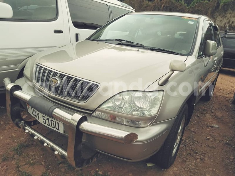 Big with watermark 67488356 1382499468564788 8980389416044331008 n