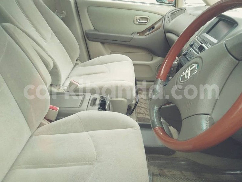 Big with watermark 67559135 1382499435231458 8060081145460555776 n