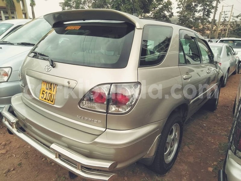 Big with watermark 67522135 1382499395231462 9164164791692951552 n