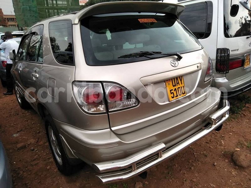 Big with watermark 67493625 1382499365231465 4645450560227508224 n