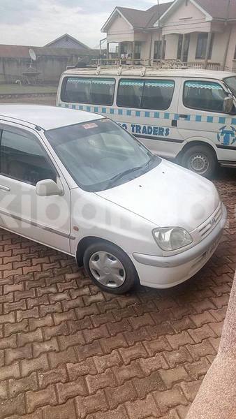 Big with watermark 14937420 10210899464142563 5142262507148257599 n