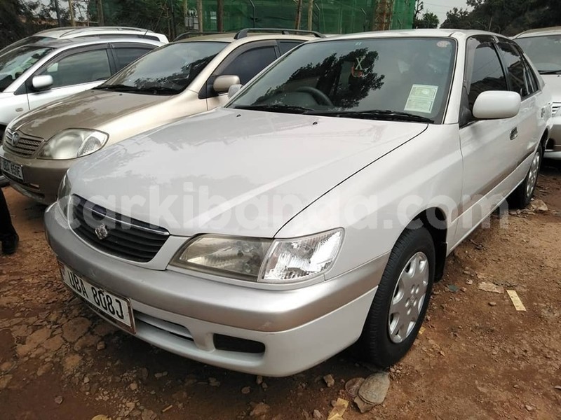 Big with watermark 67185793 1376738232474245 512283126173532160 n