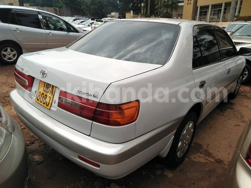 Big with watermark 67225974 1376738275807574 1006161389770768384 n