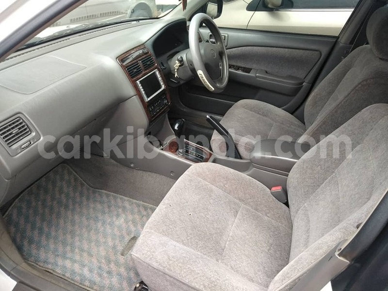 Big with watermark 67112883 1376738145807587 5753725184007733248 n