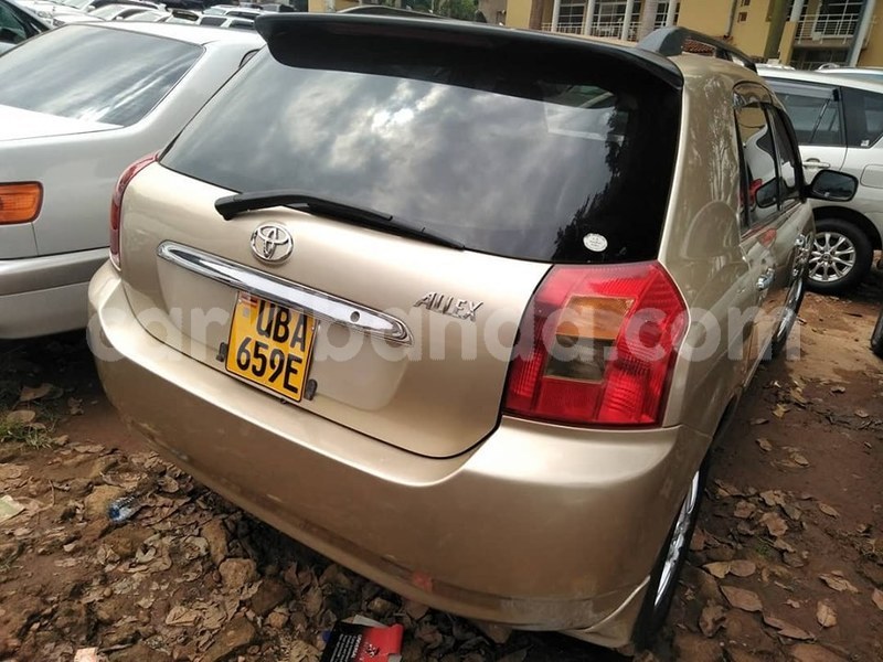 Big with watermark 67233427 1376736672474401 6511533362652381184 n